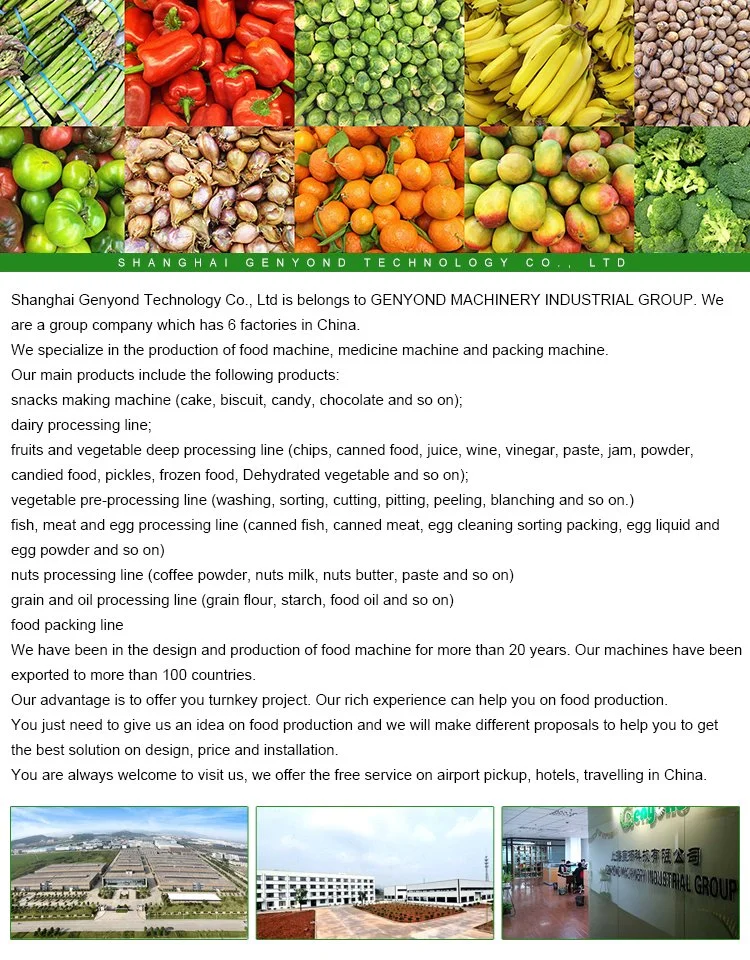 Fruit Washing Machine Vegetable Processing Line